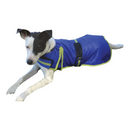 Trading Stables X-Calibur Dog Rug