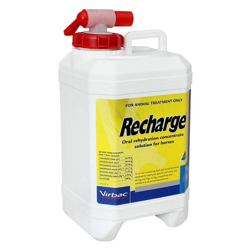 Virbac Recharge for Horses